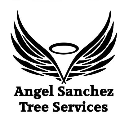 Ángel Sánchez